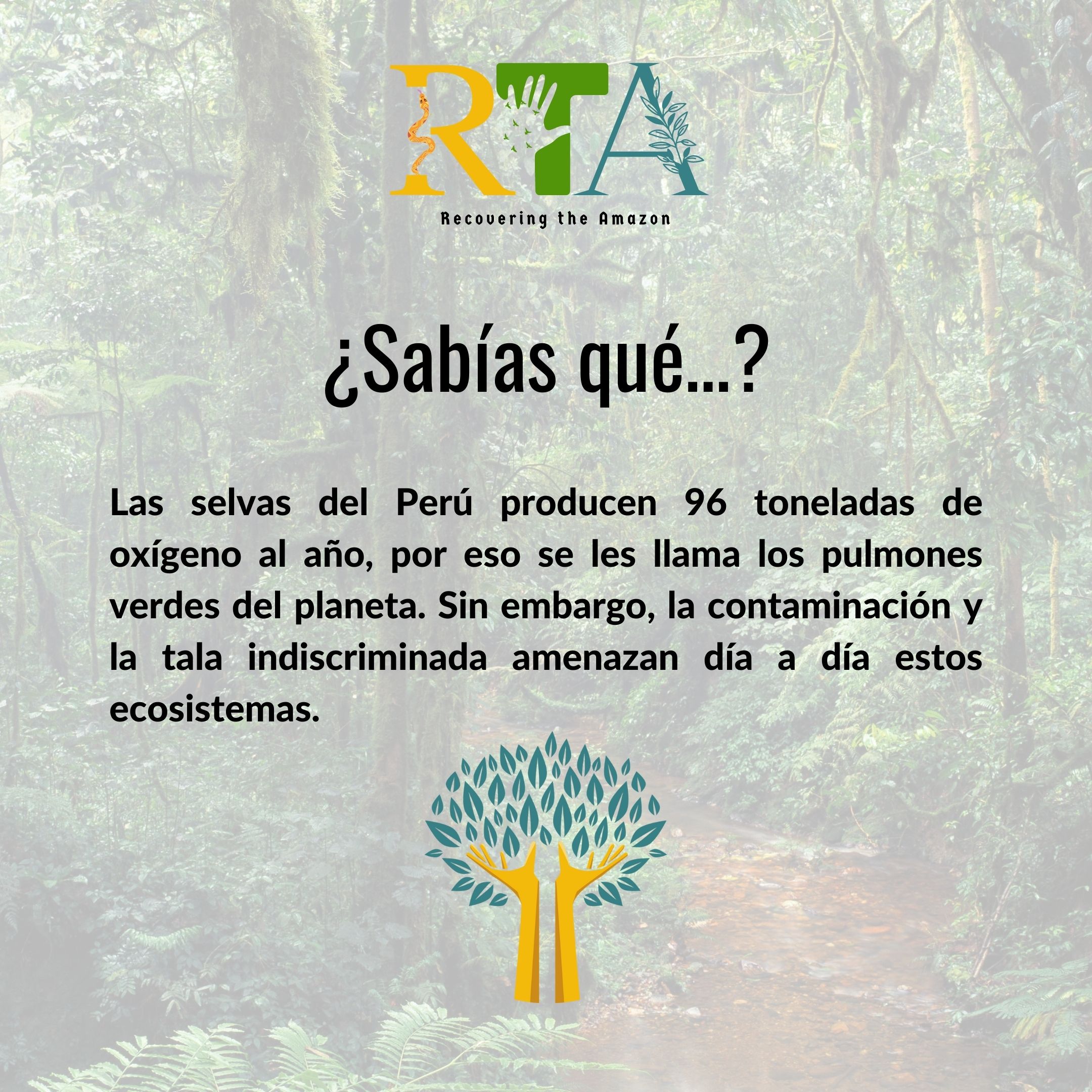 Recovering The Amazon