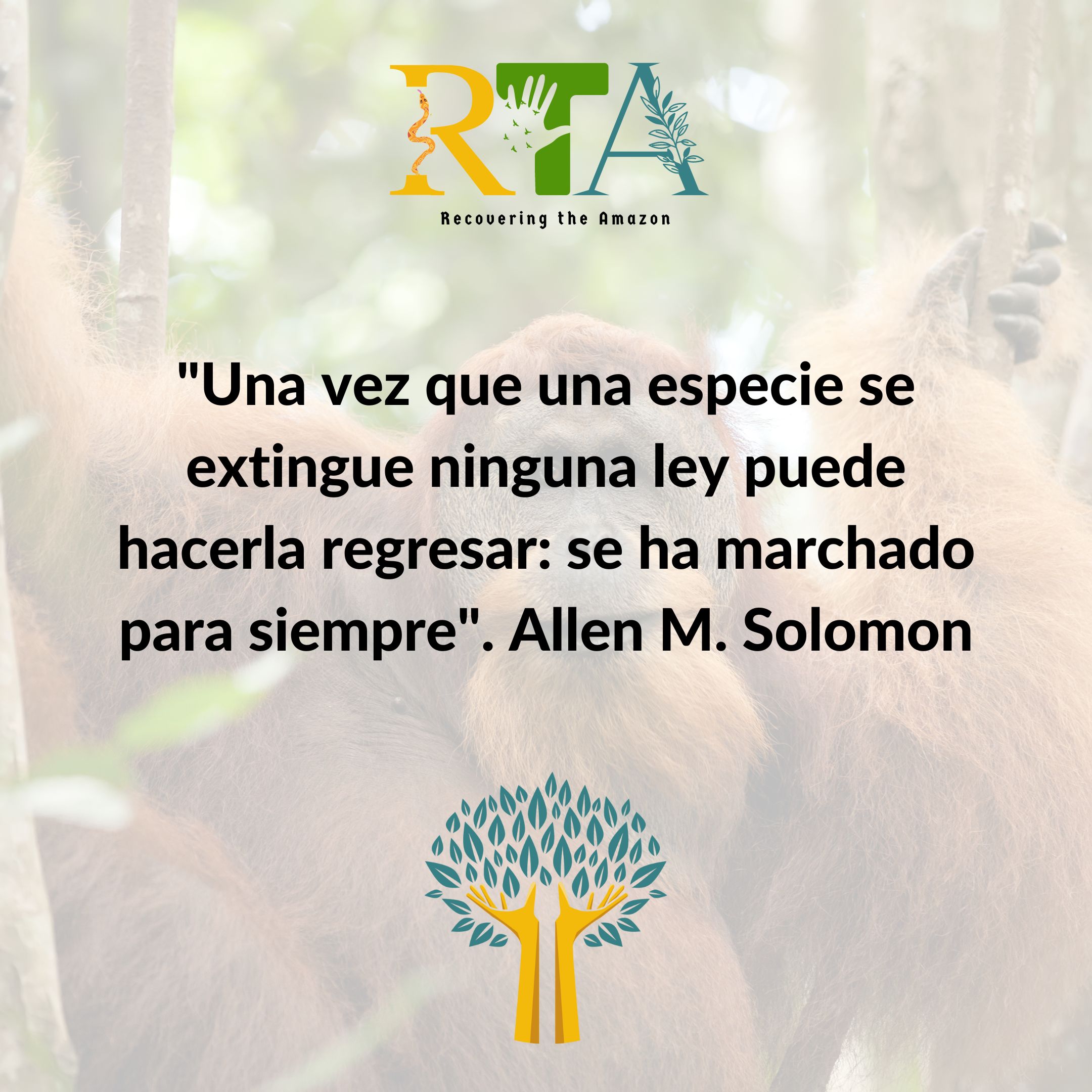 Recovering The Amazon